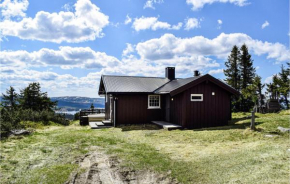 Stunning home in Sjusjøen with 3 Bedrooms
